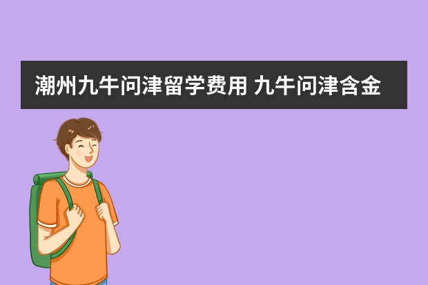 潮州九牛问津留学费用 九牛问津含金量怎么样