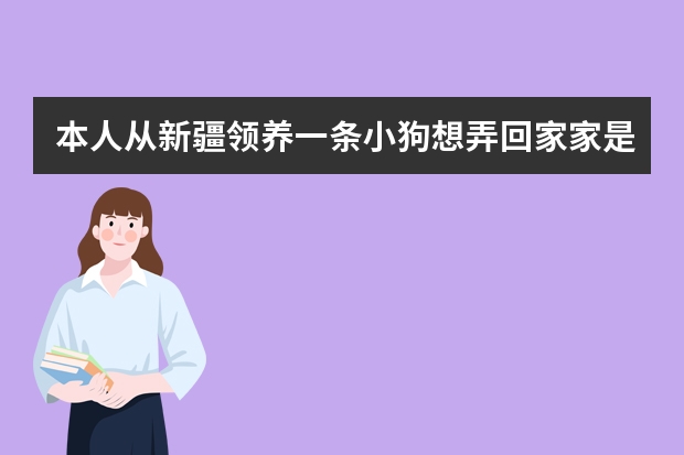 本人从新疆领养一条小狗想弄回家家是山东临沂的，想问一下从新疆空运一只小狗到临沂大约多少钱？