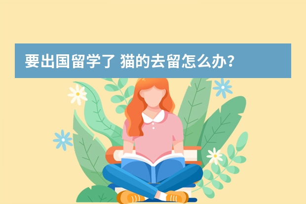 要出国留学了 猫的去留怎么办？