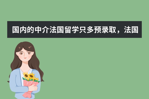 国内的中介法国留学只多预录取，法国的大学对中国学生有直接录取吗？硕士的直录都有哪些要求