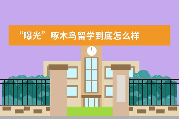 “曝光”啄木鸟留学到底怎么样