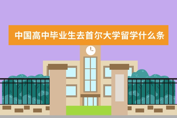 中国高中毕业生去首尔大学留学什么条件