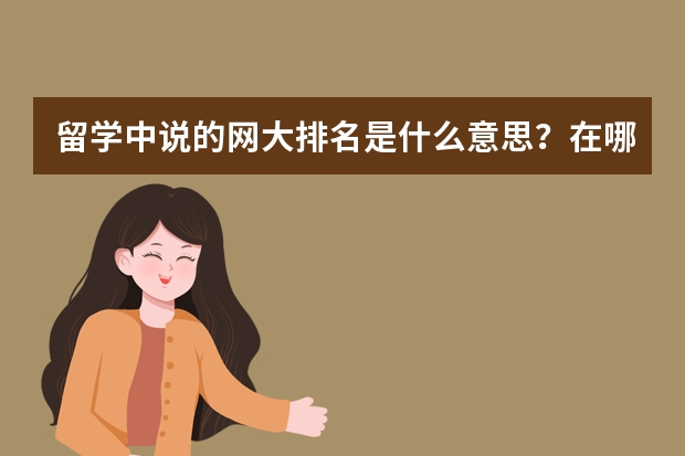 留学中说的网大排名是什么意思？在哪里查?