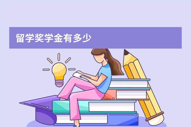 留学奖学金有多少