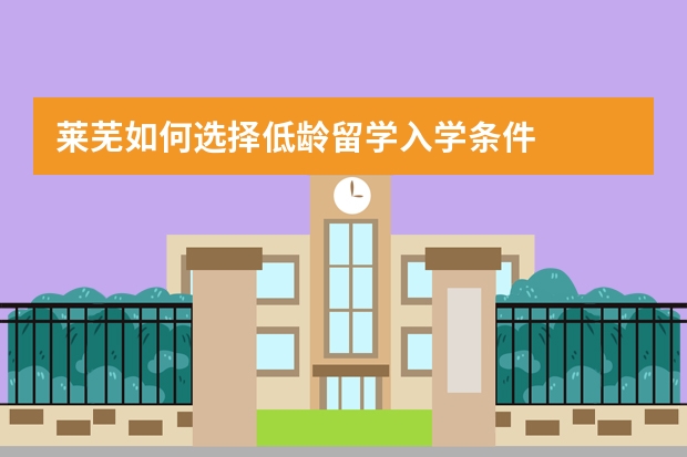 莱芜如何选择低龄留学入学条件